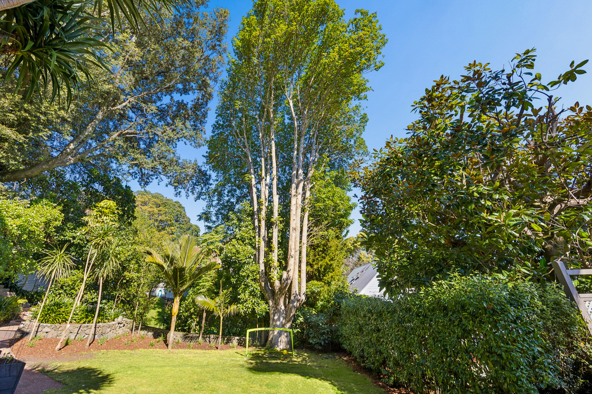 The Grounds 9